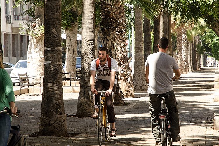 רוכבי אופניים בשדרות ירושלים. אין שביל, יש קנסות (צילום: יולי גורודינסקי)