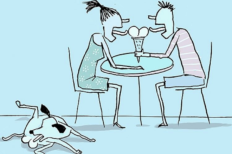 סלפיש. איור: יובל רוביצ'ק