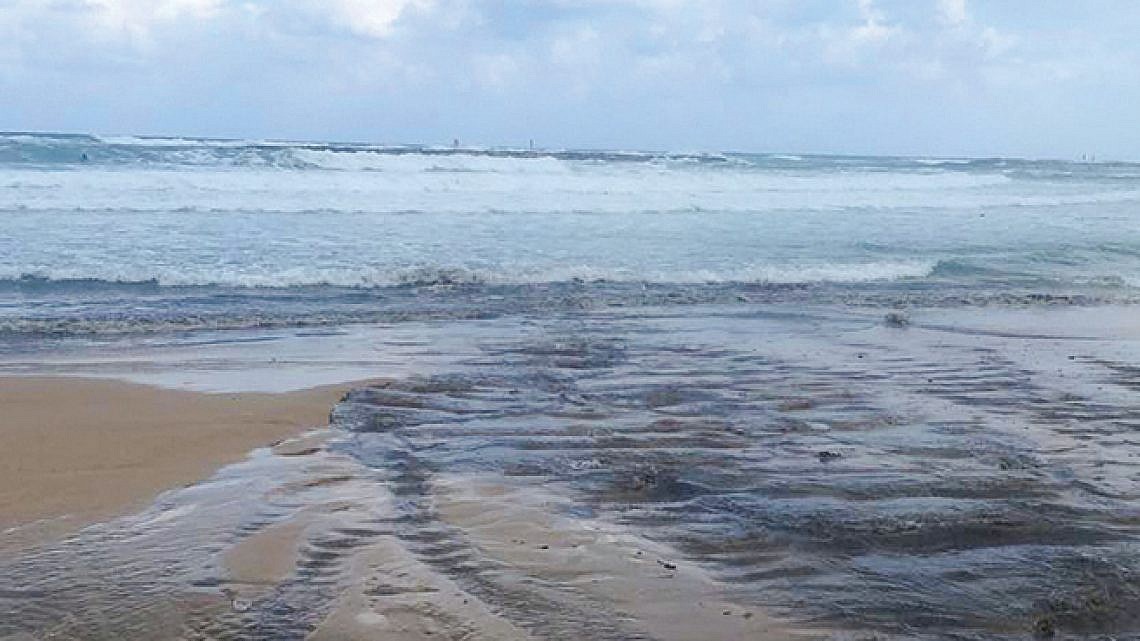 כל שנה אותו סיפור. זיהום בוצה בחוף הדולפינריום, 2016 (צילום: שגיב רוטנברג)