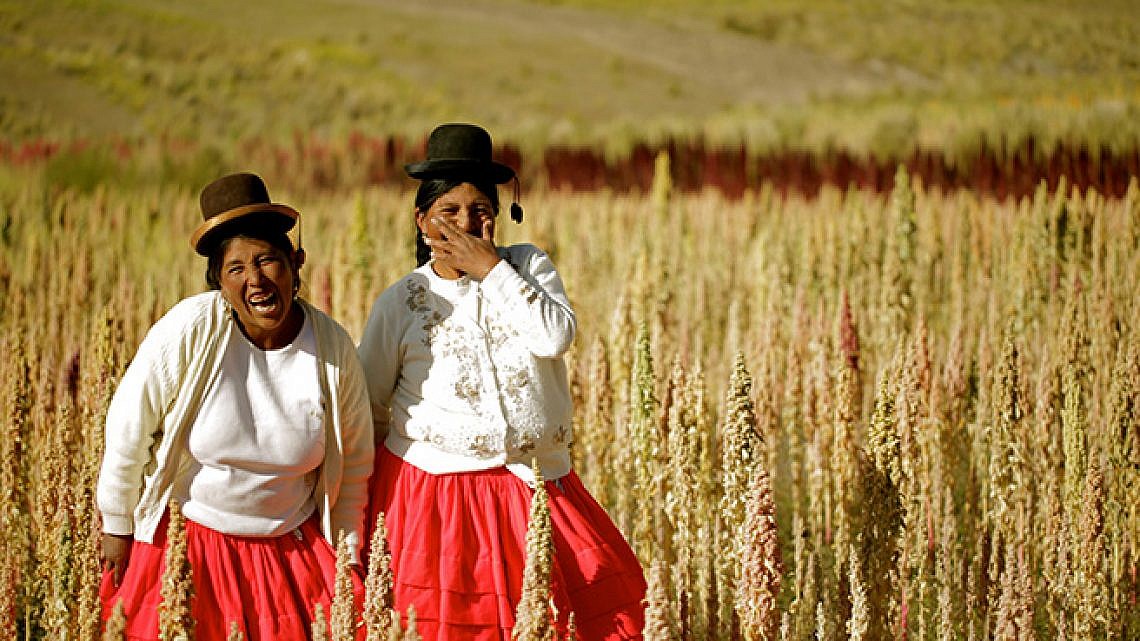 מתוך "לגלות את גסטון" מתוך "לגלות את גסטון"