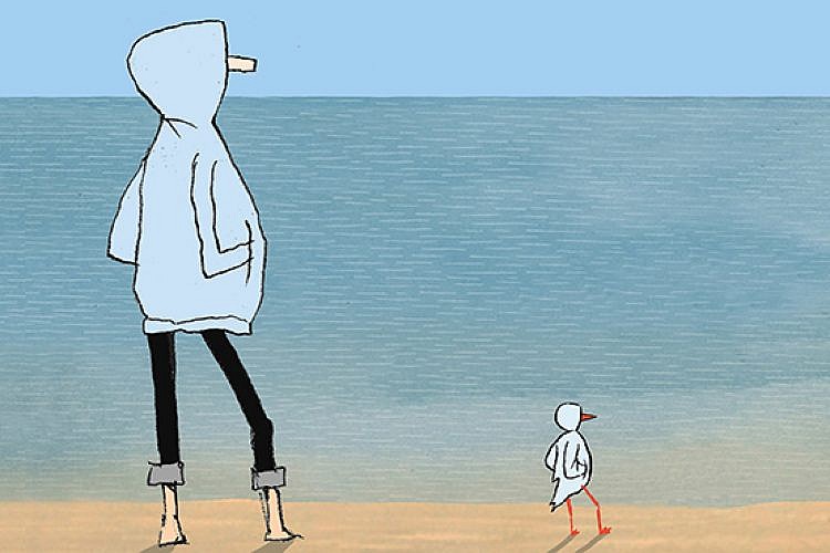 סלפיש. איור: יובל רוביצ'ק