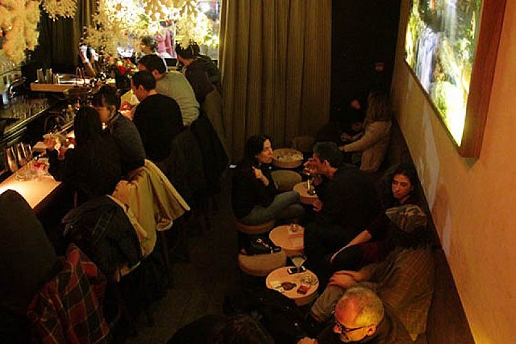 קיי בר. צילום: רוי גיא