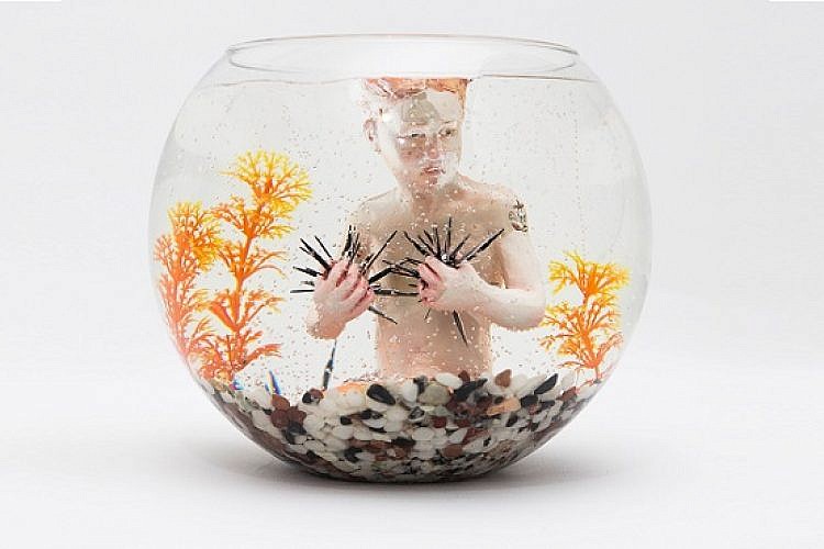 ויטרינה: סדרת בתולות הים של ורד אהרונוביץ