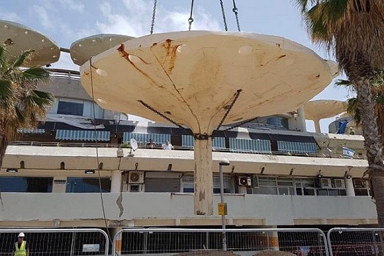 הריסת הפטריות בכיכר אתרים (צילום: אלי אטיאס)