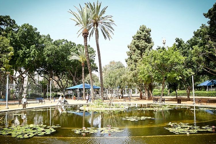 בריכת הדגים בגן מאיר (צילום: שלומי יוסף)