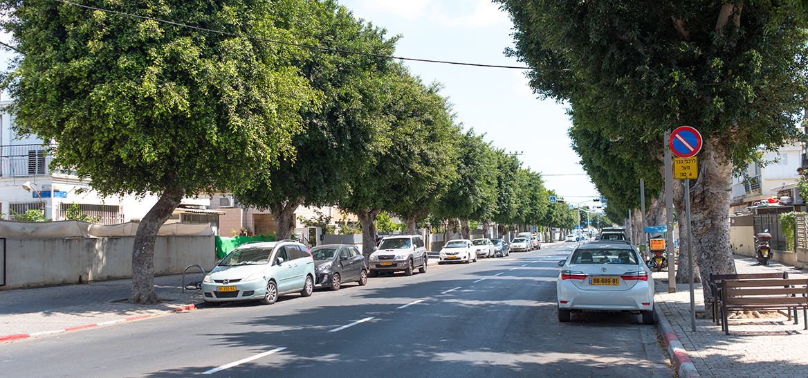 רחוב ישראל גורי, קריית שלום (צילום: יולי גורודינסקי)