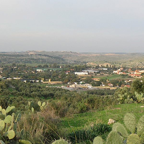 תל חדיד (צילום: אורי)