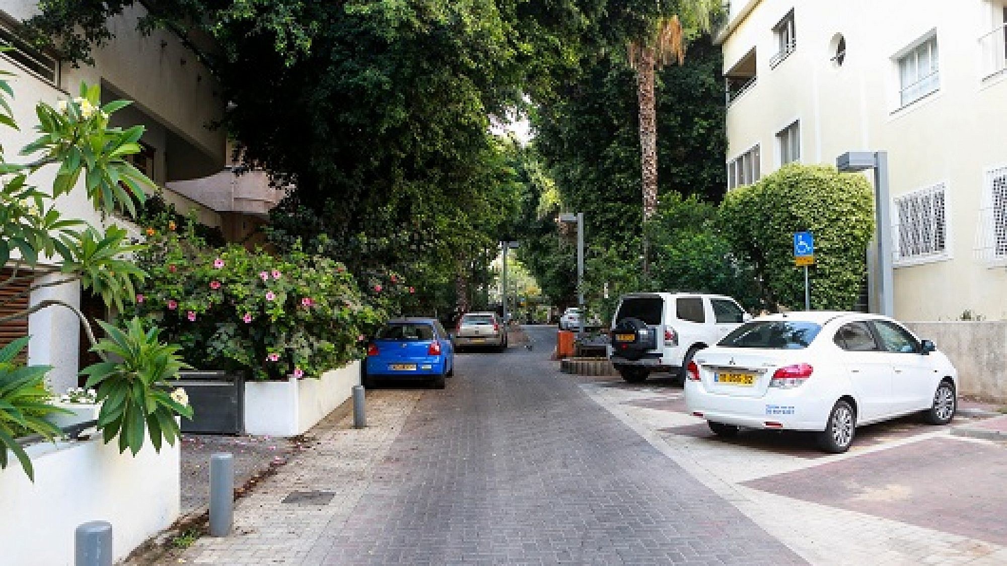רחוב מיכ"ל (צילום: שלומי יוסף)
