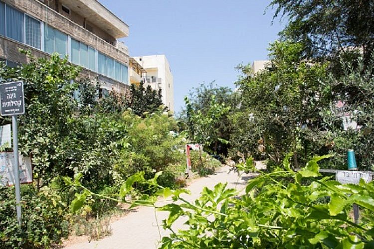 גינה קהילתית בפלורנטין (צילום: דין אהרוני רולנד)