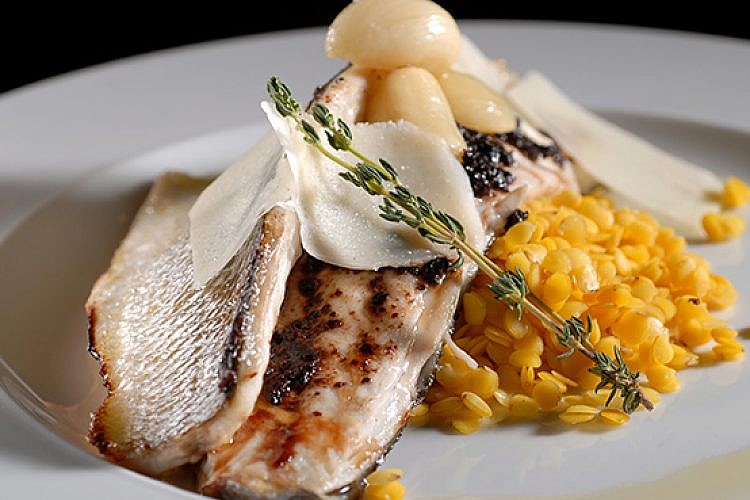 פילה לברק, מסעדת 206 דגים, צילום: עמיחי דורון