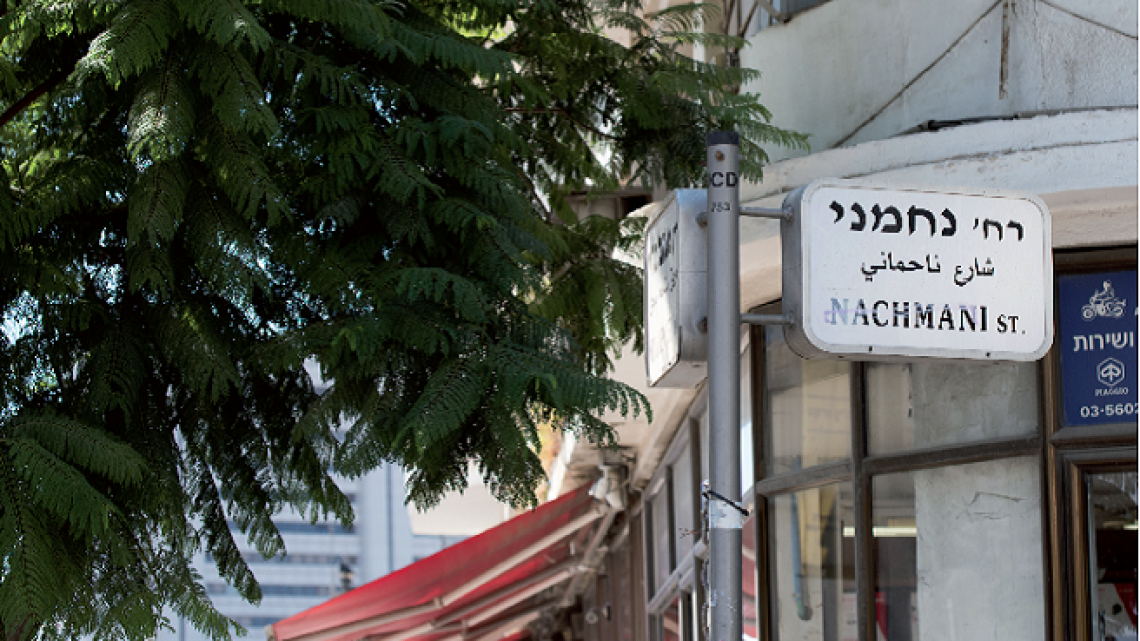 נחמני (צילום: נמרוד סונדרס)
