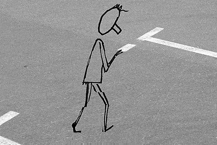 סלפיש. איור: יובל רוביצ'ק