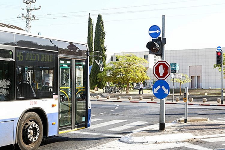 אוטובסים באוניברסיטה (צילום: שלומי יוסף)