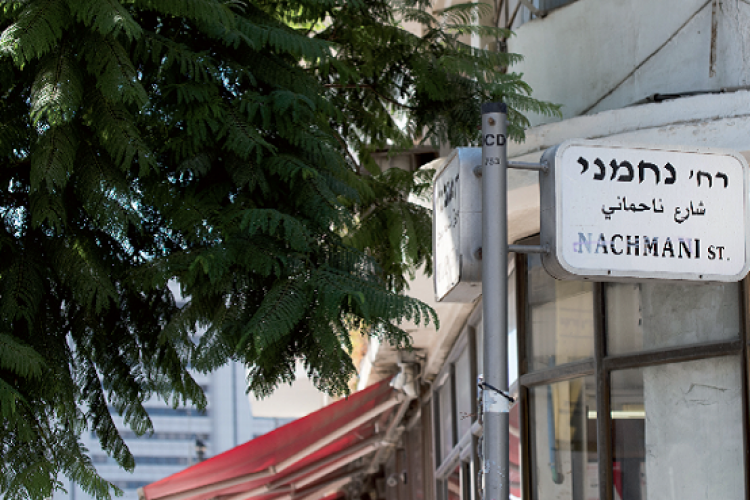 נחמני (צילום: נמרוד סונדרס)