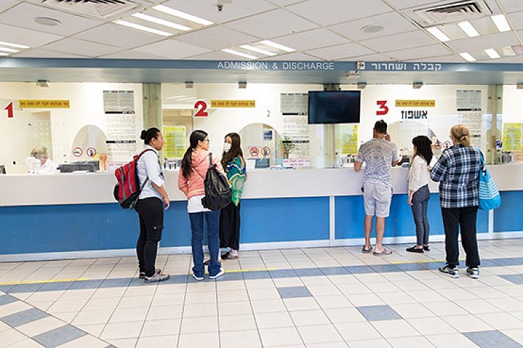 איכילוב. צילום: דין אהרוני רולנד