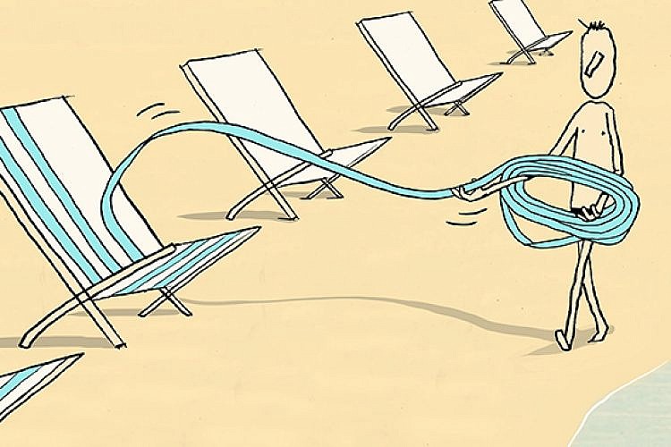 סלפיש. איור: יובל רוביצ'ק