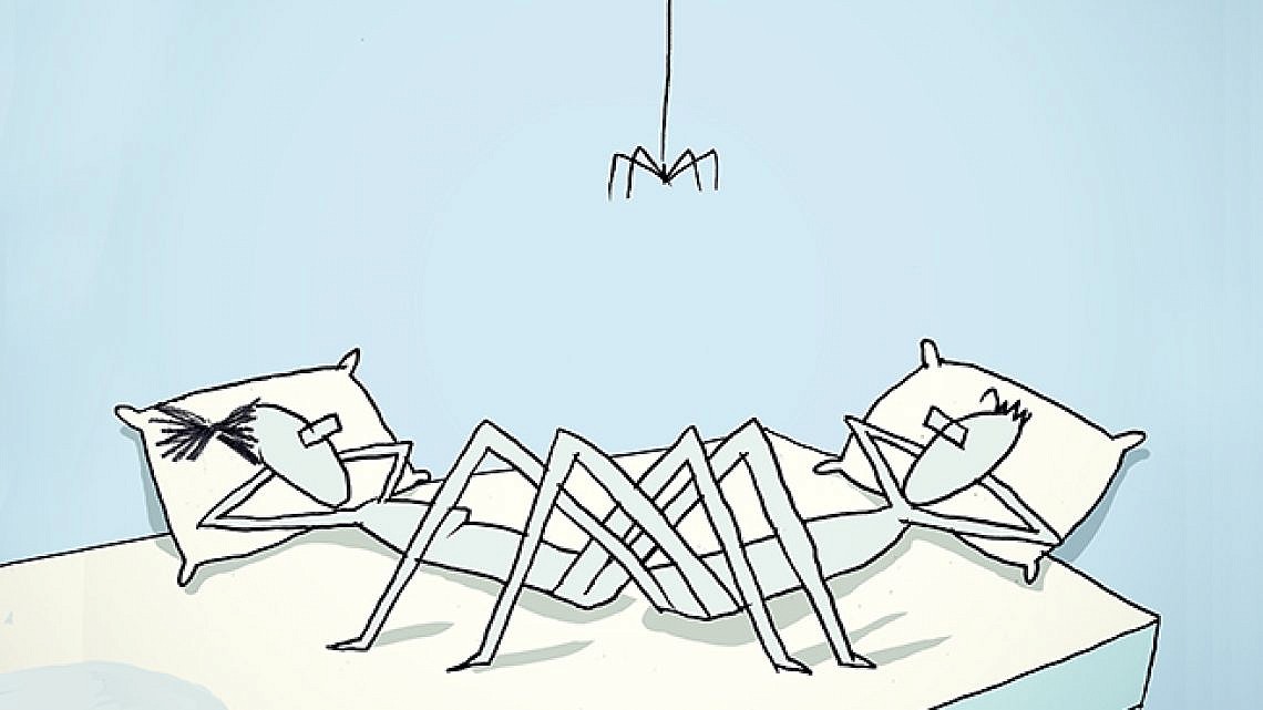 סלפיש. איור: יובל רוביצ'ק