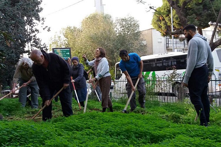תושבים מעורבים בשכונת יד אליהו (צילום: באדיבות עיריית תל אביב-יפו)