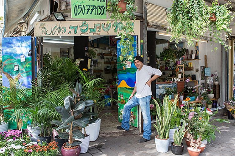 בחנות "המשתלה הקטנה" בלבונטין. צילום: הילה עידו