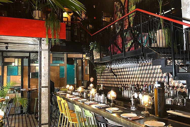 שיק שאק שוק, נעים להכיר. צילום: גיא בר לב