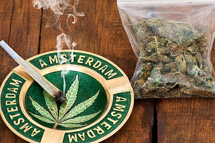 קופי שופ באמסטרדם. צילום: שאטרסטוק