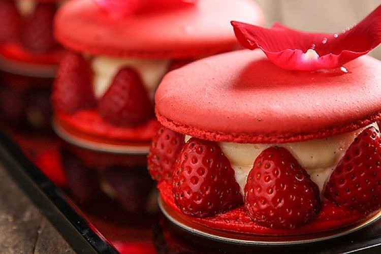 בייקרי (צילום: עידית בן עוליאל)