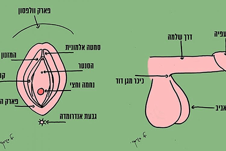 תל אביב במפות לפין ולפות. איור: יעל סגרסקי