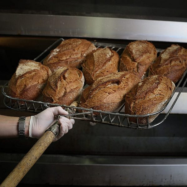 חמץ טרי בלה פרינה (צילום: ירון בן-חורין)