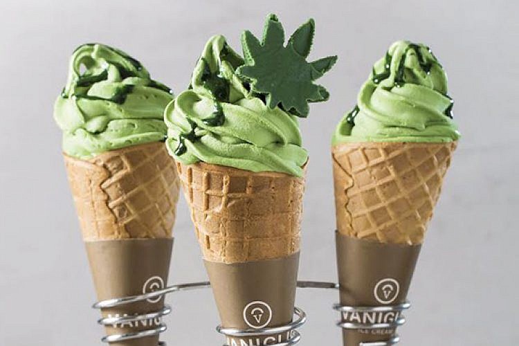 גלידת קנאביס של וניליה. צילום: בועז לביא