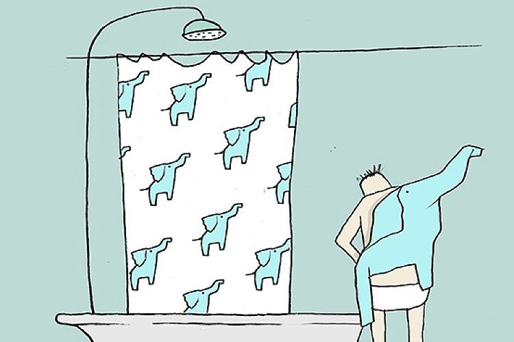 סלפיש. איור: יובל רוביצ'ק