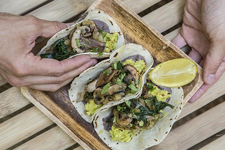 אורבן שמאן. צילום: אור דנון