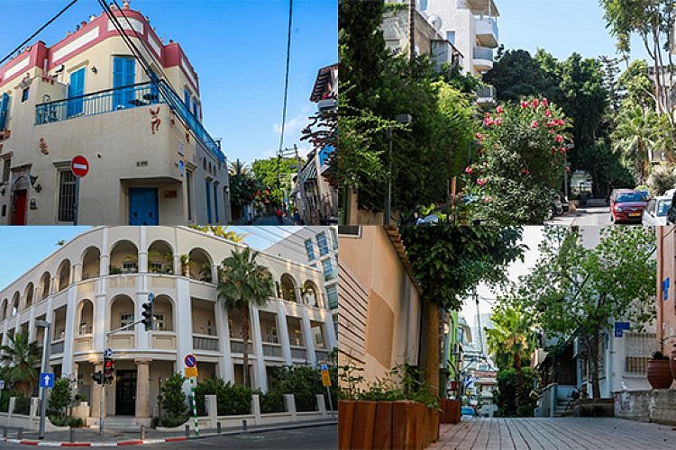 הרחובות הכי יפים בתל אביב. צילום: שלומי יוסף