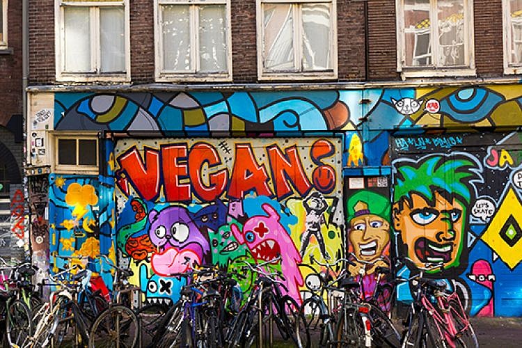 אמסטרדם. צילום: שאטרסטוק