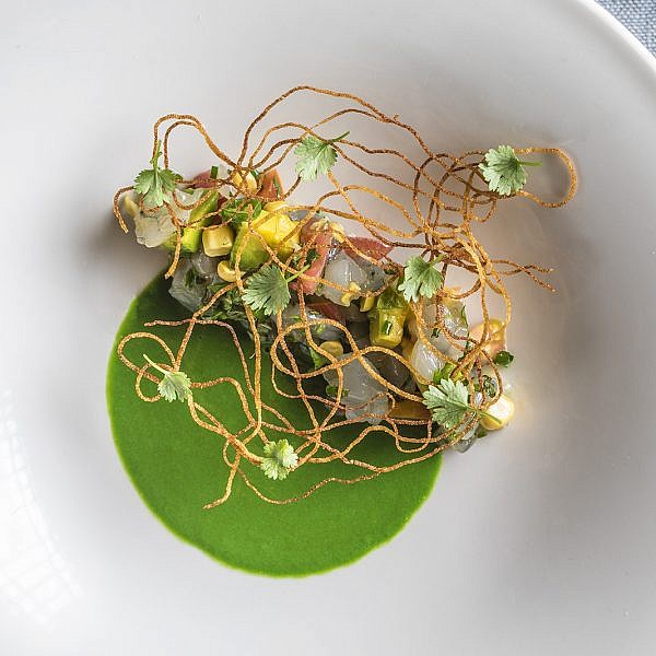 טרטר שרימפס במלגו ומלבר. צילום: אפיק גבאי