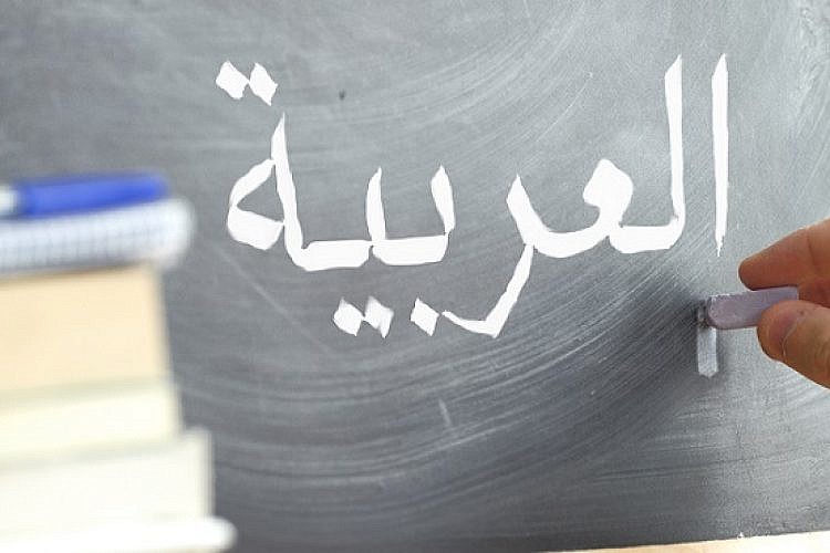 לומדים ערבית (צילום: shutterstock)
