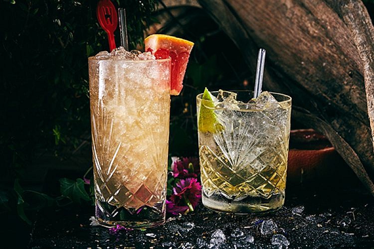 הקוקטיילים של ויסוצקי. צילום: אמיר מנחם