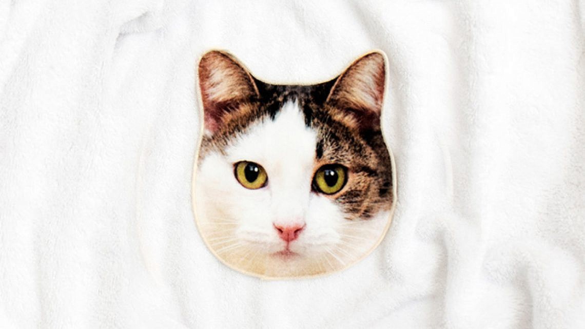 חתול מגבת - המתנות הכי שוות לחג
