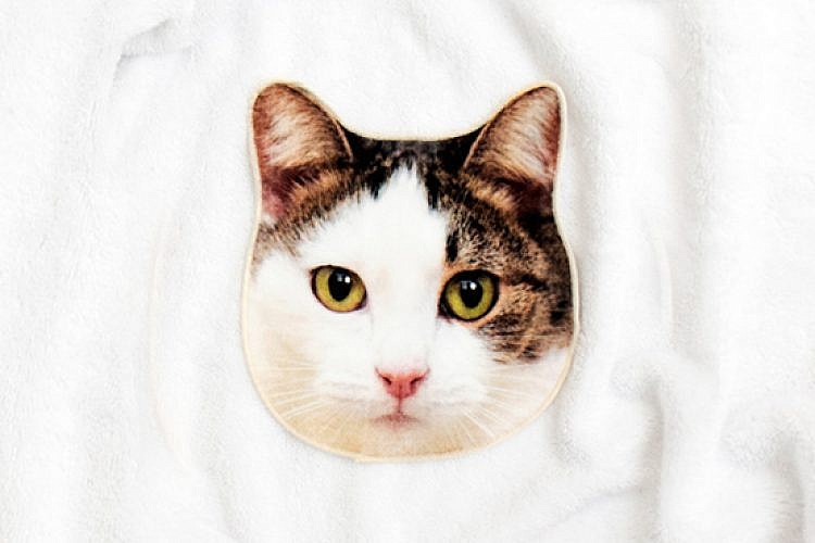 חתול מגבת - המתנות הכי שוות לחג