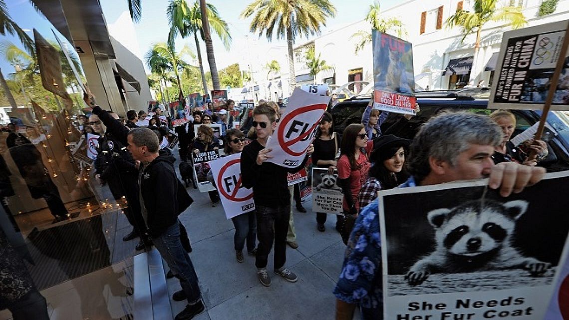 פעילים למען זכויות בעלי חיים בקליפורניה. צילום: Gettyimages