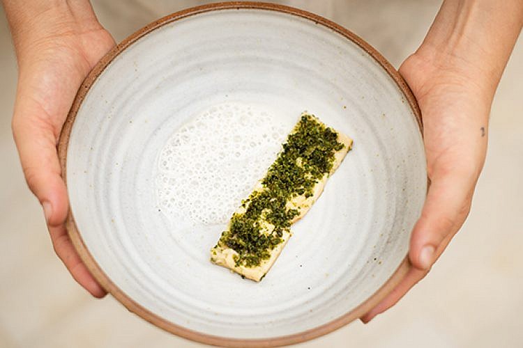 opa, שיראל ברגר. צילום: נמרוד סונדרס