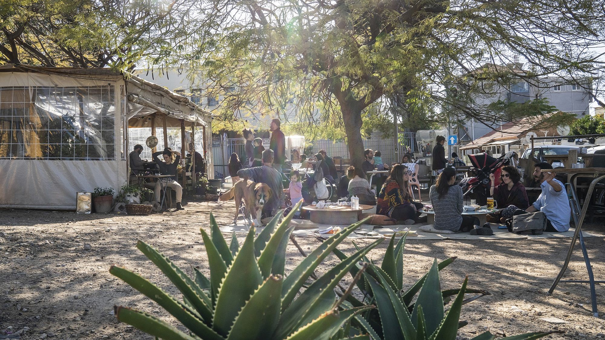 קפה שפירא. צילום: אנטולי מיכאלו