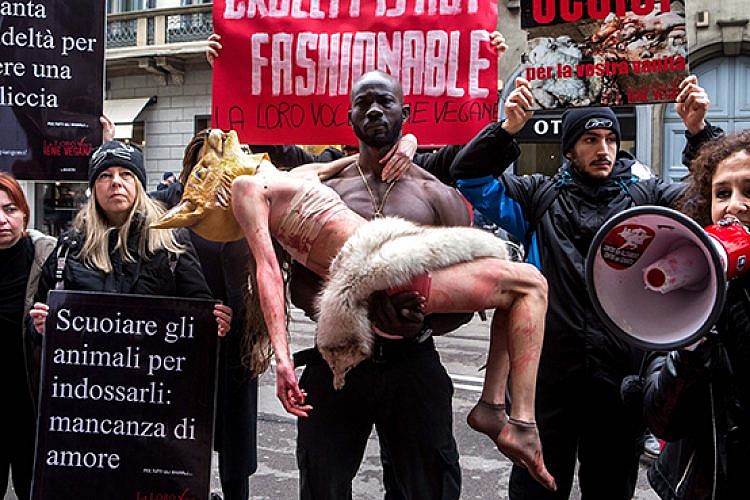 מפגינים נגד מעילי פרווה בשבוע האופנה במיאלנו. צילום: Getty Images