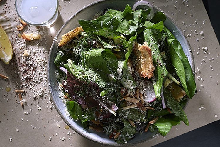 וניה ביסטרו. צילום: אנטולי מיכאלו