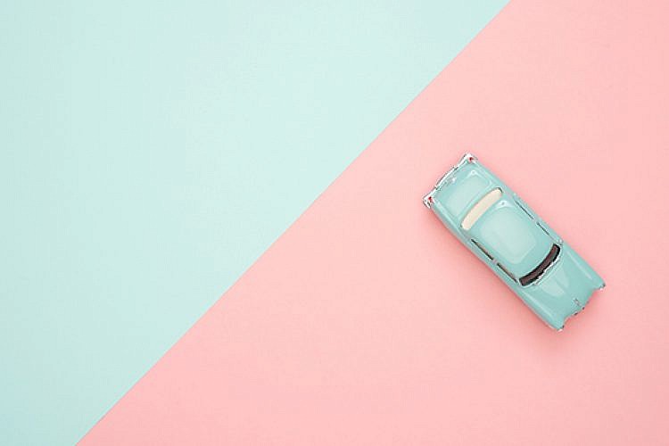 מיני והעיר הגדולה. צילום: pexels