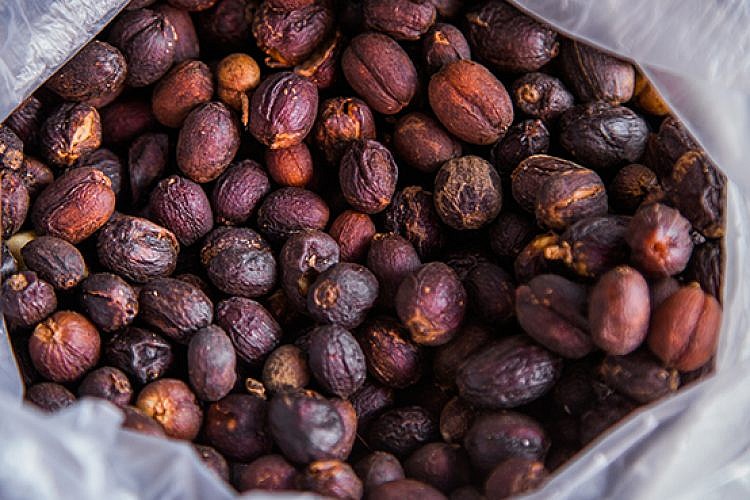 חליטות קפה לא מהעולם הזה. צילום: שאטרסטוק