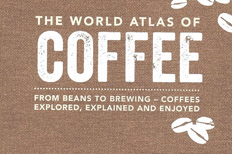 תתחילו לקרוא. צילום: שאטרסטוק