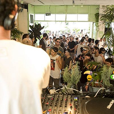 פיי (צילום: תמיר מוש)