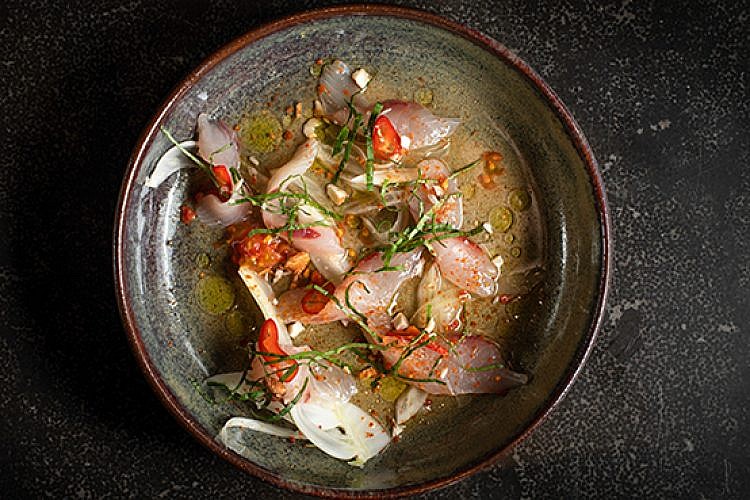 שחקי שחקי. צילום: שני בריל