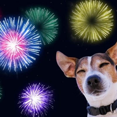 צילום: Shutterstock