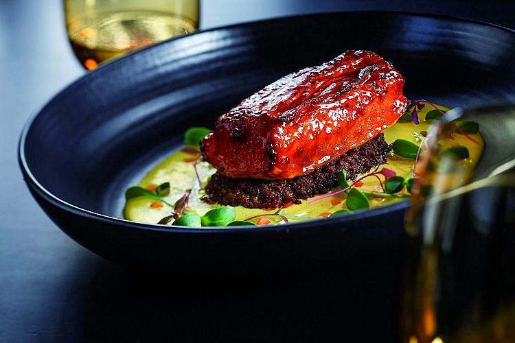 טופולופומפו דלעת. צילום: יחצ